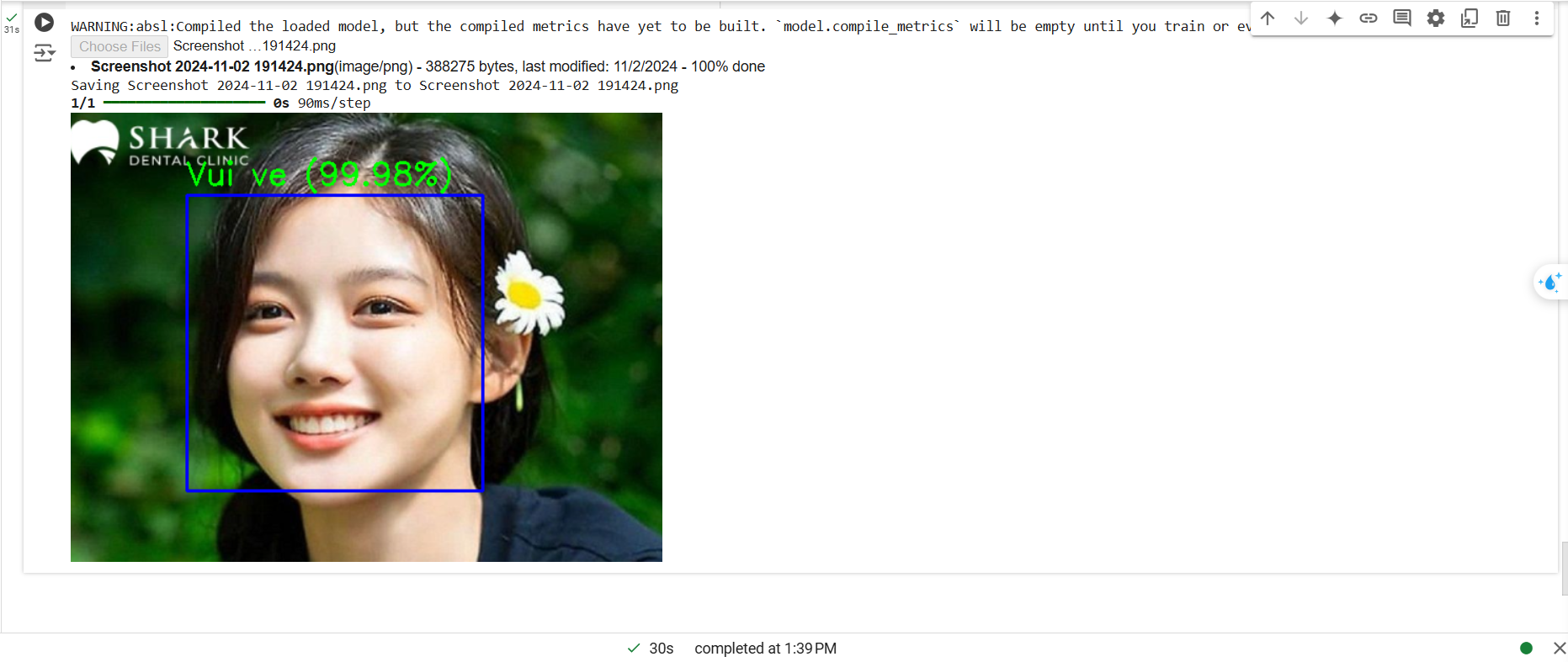 Mô hình đang chạy